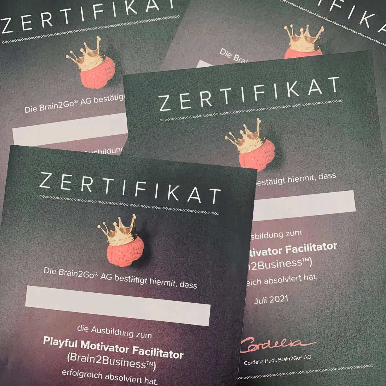x_Zertifikate Playful Motivator Facilitator Brain2Business